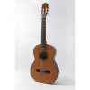 Raimundo 123 Sedir Gövdeli Klasik Gitar<br>Fotoğraf: 1/1
