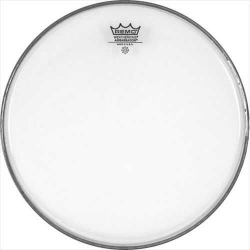 Remo Ambassador Clear 10 İnç Deri