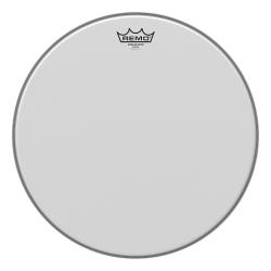 Remo BA-0116-00- Ambassador 16'' Tom Derisi