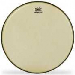 Remo RA-0012-SS- Batter Ambassador Rena