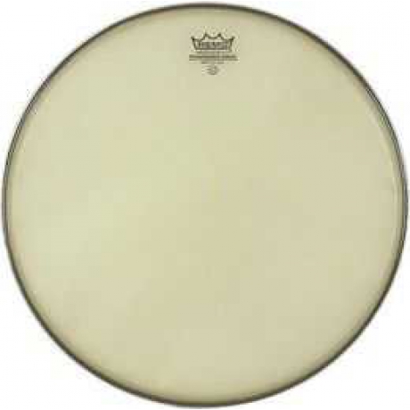 Remo SA-0013-SS- SNARE Ambassador Renai<br>Fotoğraf: 1/1