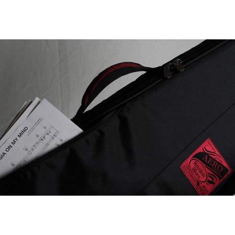 Reunion Blues AERO-E1 Elektro Gitar Gigbag<br>Fotoğraf: 5/5