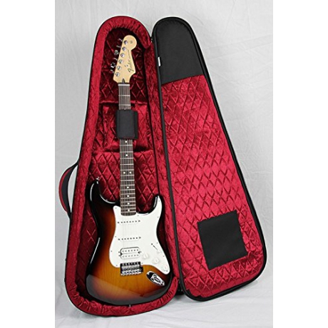 Reunion Blues AERO-E1 Elektro Gitar Gigbag<br>Fotoğraf: 4/5