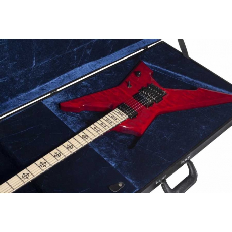 Schecter 1701 SGR-JLX Elektro Gitar Hard Case<br>Fotoğraf: 4/4