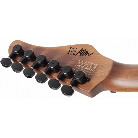 Schecter Aaron Marshall AM-6 Elektro Gitar (Satin Royal Sapphire)<br>Fotoğraf: 6/7