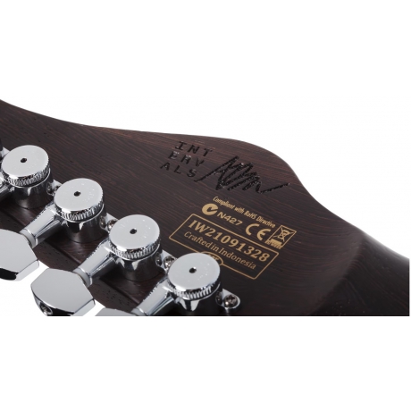 Schecter Aaron Marshall AM-6 Trem Elektro Gitar (Arctic Jade)<br>Fotoğraf: 3/3