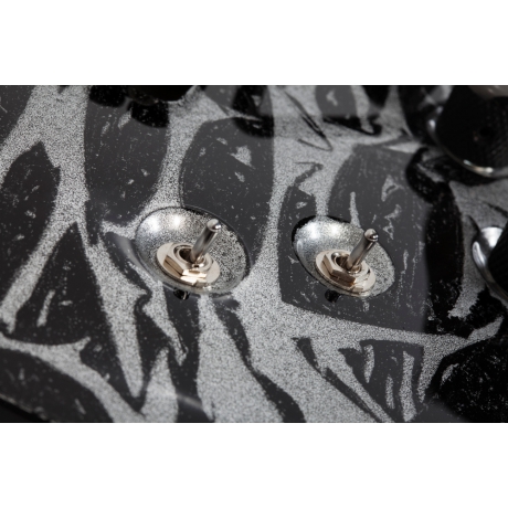 Schecter C-1 FR-S Elektro Gitar (Silver Mountain)<br>Fotoğraf: 4/4