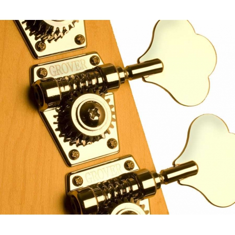 Schecter Diamond-J Bas Gitar (Gloss Black)<br>Fotoğraf: 3/3