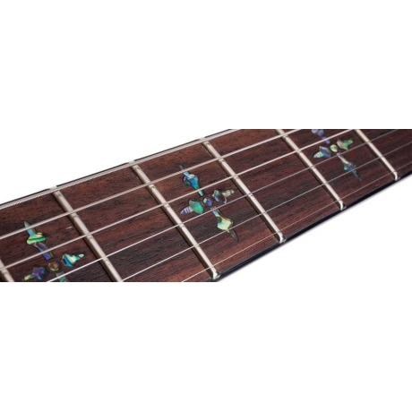 Schecter Hellraiser C-1 Elektro Gitar (Gloss Black)<br>Fotoğraf: 5/7