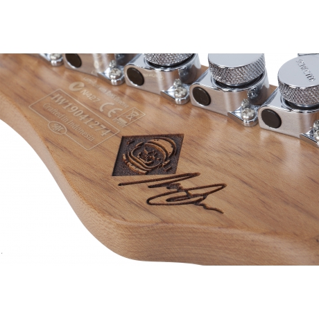 Schecter Nick Johnston Traditional Elektro Gitar (Atomic Cora)<br>Fotoğraf: 8/8