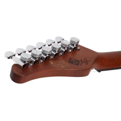 Schecter Nick Johnston Traditional Elektro Gitar (Atomic Green)<br>Fotoğraf: 6/7