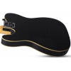 Schecter PT Elektro Gitar (Gloss Black)<br>Fotoğraf: 8/8