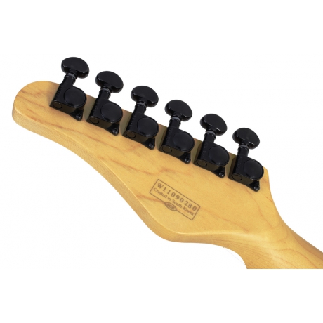 Schecter PT Elektro Gitar (Gloss Black)<br>Fotoğraf: 7/8