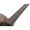 Schecter PT Standard Elektro Gitar (Black Fade Burst Burl)<br>Fotoğraf: 5/7