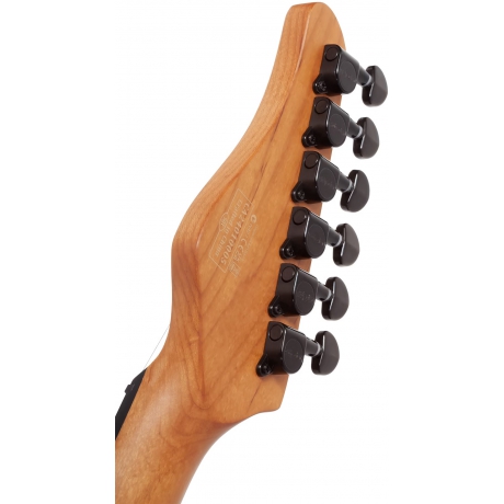 Schecter PT Standard Elektro Gitar (Black Fade Burst Burl)<br>Fotoğraf: 7/7