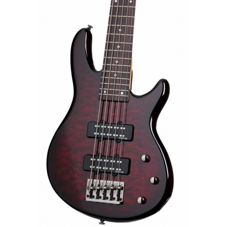 Schecter Raiden Special-5 Bas Gitar (Black Cherr)<br>Fotoğraf: 2/3