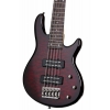 Schecter Raiden Special-5 Bas Gitar (Black Cherr)<br>Fotoğraf: 2/3