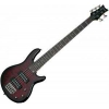 Schecter Raiden Special-5 Bas Gitar (Black Cherr)<br>Fotoğraf: 3/3