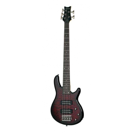 Schecter Raiden Special-5 Bas Gitar (Black Cherr)<br>Fotoğraf: 1/3