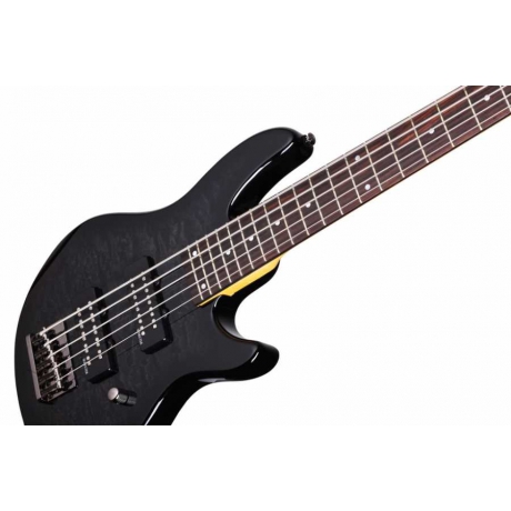 Schecter Raiden Special-5 Bas Gitar (See-Thru Black)<br>Fotoğraf: 2/3