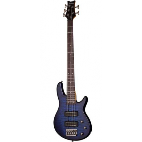 Schecter Raiden Special-5 Bas Gitar (See-Thru Blue Burst)<br>Fotoğraf: 1/3