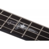 Schecter Sean Yseult Casket Bas Gitar (Siyah)<br>Fotoğraf: 9/10