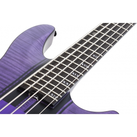 Schecter C-5 GT 5 Telli Bas Gitar (Satin Trans Purple)<br>Fotoğraf: 5/8