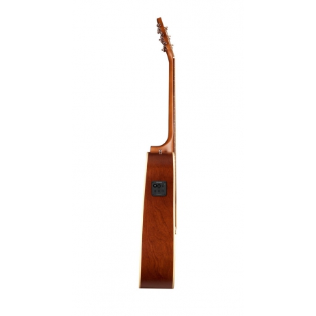 Seagull Coastline Slim CW Ladin Presys II Elektro Akustik Gitar (Natural)<br>Fotoğraf: 2/3