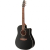 Seagull Entourage CW Black GT QIT Elektro Akustik Gitar (Siyah)<br>Fotoğraf: 1/4