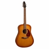 Seagull Enturage Rustic QIT Akustik Gitar (Natural)<br>Fotoğraf: 1/3