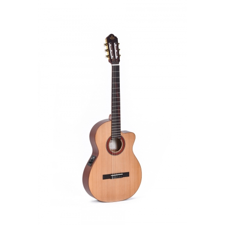 Sigma CTMC-2E Elektro Klasik Gitar (Natural)<br>Fotoğraf: 1/5