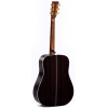 Sigma DT-41 Dreadnought Akustik Gitar (Natural)<br>Fotoğraf: 2/4