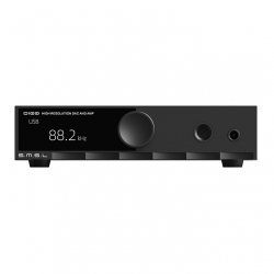 SMSL D100 Hi-Fi DAC ve Kulaklık Amplifikatörü (Siyah)