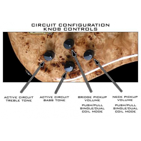 Spector EURO6LX Bas Gitar (Natural Satin Gloss)<br>Fotoğraf: 3/3