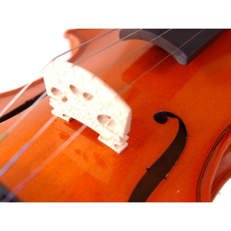 Stentor 1018/E Standart Keman (1/2)<br>Fotoğraf: 2/7