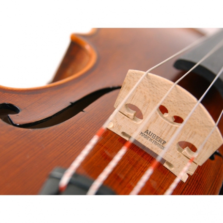 Stentor 1875/A The Elysia El Yapımı Keman (4/4)<br>Fotoğraf: 2/7