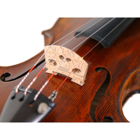 Stentor 1880/A The Arcadia El Yapımı Keman (4/4)<br>Fotoğraf: 2/8