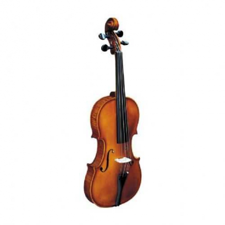 Strunal 193W Keman (4/4)<br>Fotoğraf: 1/1