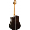 SX DG200CE+/NA Elektro Akustik Gitar (Natural)<br>Fotoğraf: 2/2