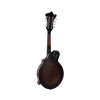 SX SMF640 F Style Mandolin (Vintage Sunburst), Fotoğraf: 4/10