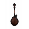 SX SMF640 F Style Mandolin (Vintage Sunburst), Fotoğraf: 2/10