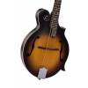 SX SMF640 F Style Mandolin (Vintage Sunburst), Fotoğraf: 5/10