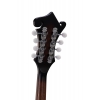SX SMF640 F Style Mandolin (Vintage Sunburst), Fotoğraf: 10/10