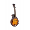 SX SMF660E F Style Elektro Mandolin (Vintage Sunburst), Fotoğraf: 2/10