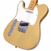 SX Telecaster Kasa Natural Solak Elektro Gitar<br>Fotoğraf: 4/4
