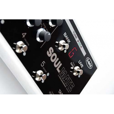 T-Rex Soul Mate Multi Effect Pedalı<br>Fotoğraf: 5/5