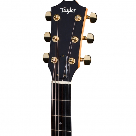 Taylor 214CE-SG LTD Elektro Akustik Gitar (Natural)<br>Fotoğraf: 3/4