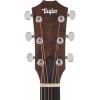 Taylor 24ce Grand Auditorium Elektro Akustik Gitar (Natural), Fotoğraf: 3/7