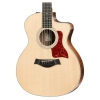 Taylor 254CE-DLX 12 Telli Elektro Akustik Gitar (Natural)<br>Fotoğraf: 2/5