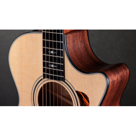 Taylor 312ce 12-Fret Elektro Akustik Gitar<br>Fotoğraf: 4/10